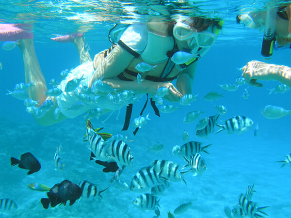 ボートスノーケルハーフDAYツアー01